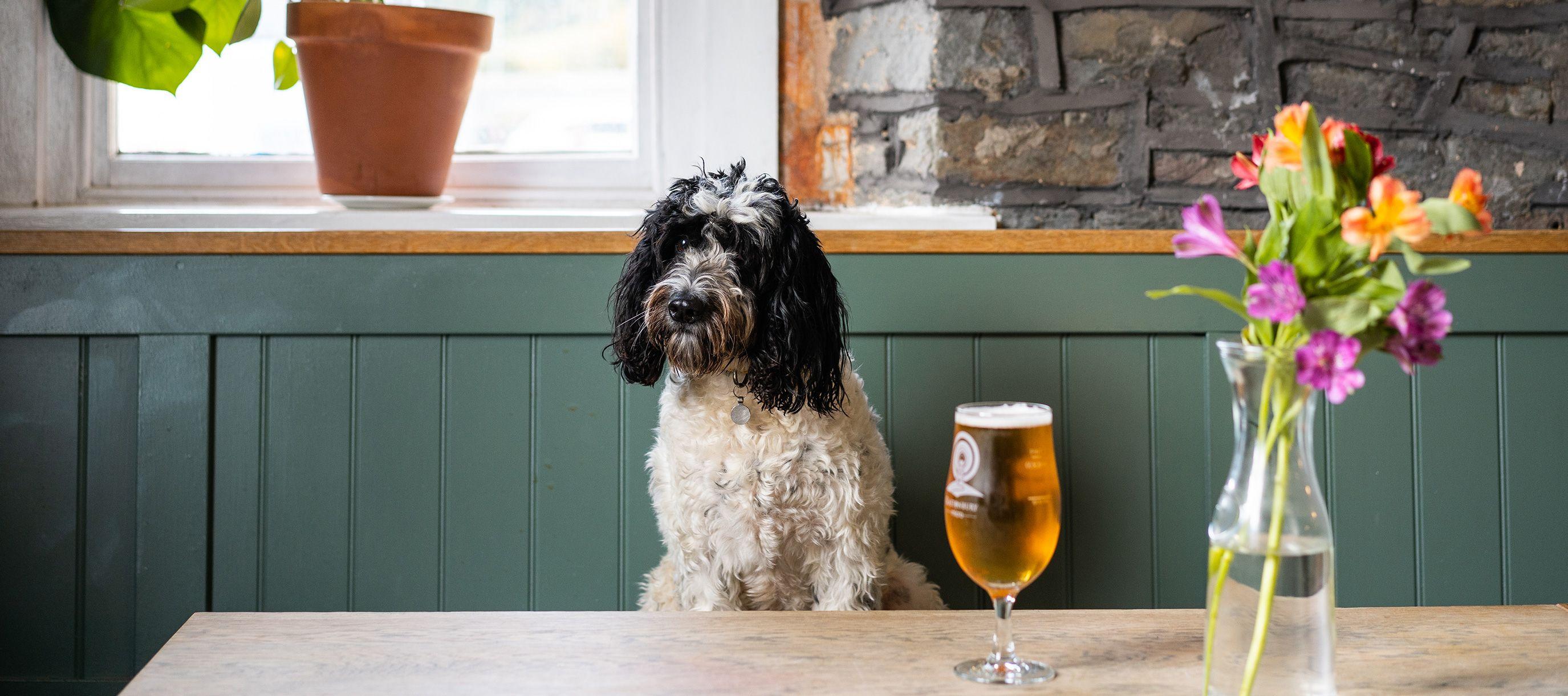 10 of the best dogfriendly pubs and restaurants in the UK Paws & Stay