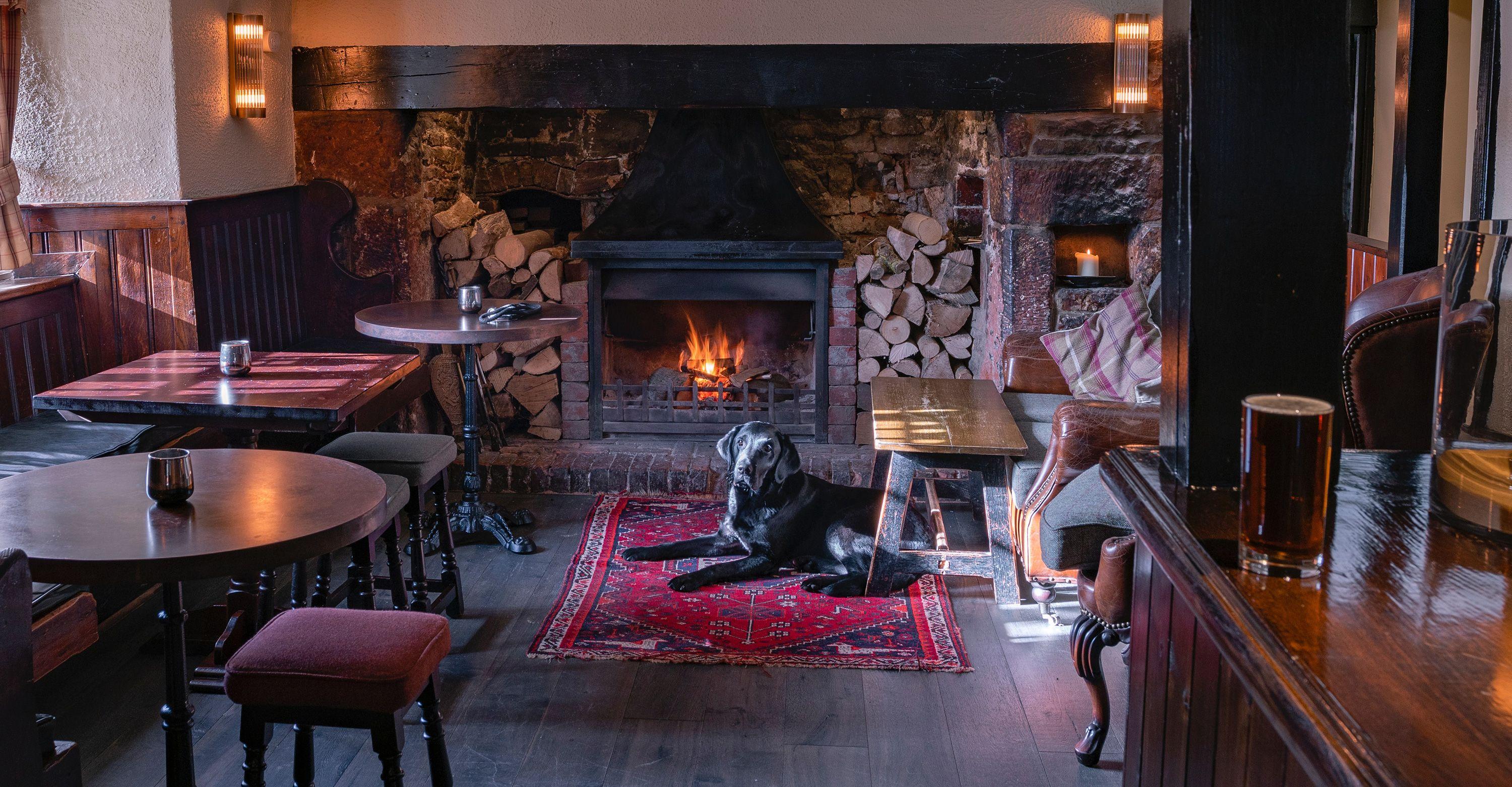 the-five-best-dog-friendly-pubs-in-the-lake-district-paws-stay