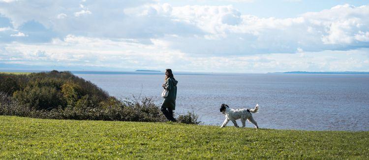 Coastal dog walks near sales me