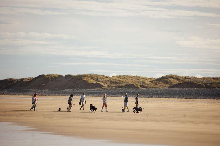 The five best dog walks along Devon’s coastline Paws & Stay