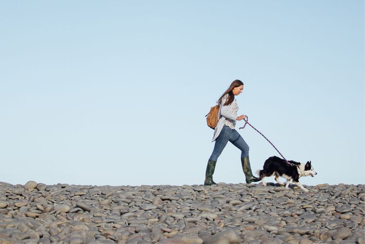 A person walking a dog on the beach