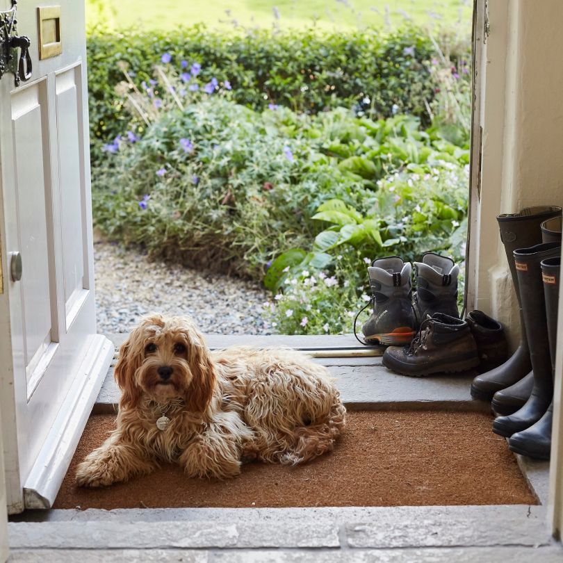 Dog friendly holidays by Paws Stay Paws Stay