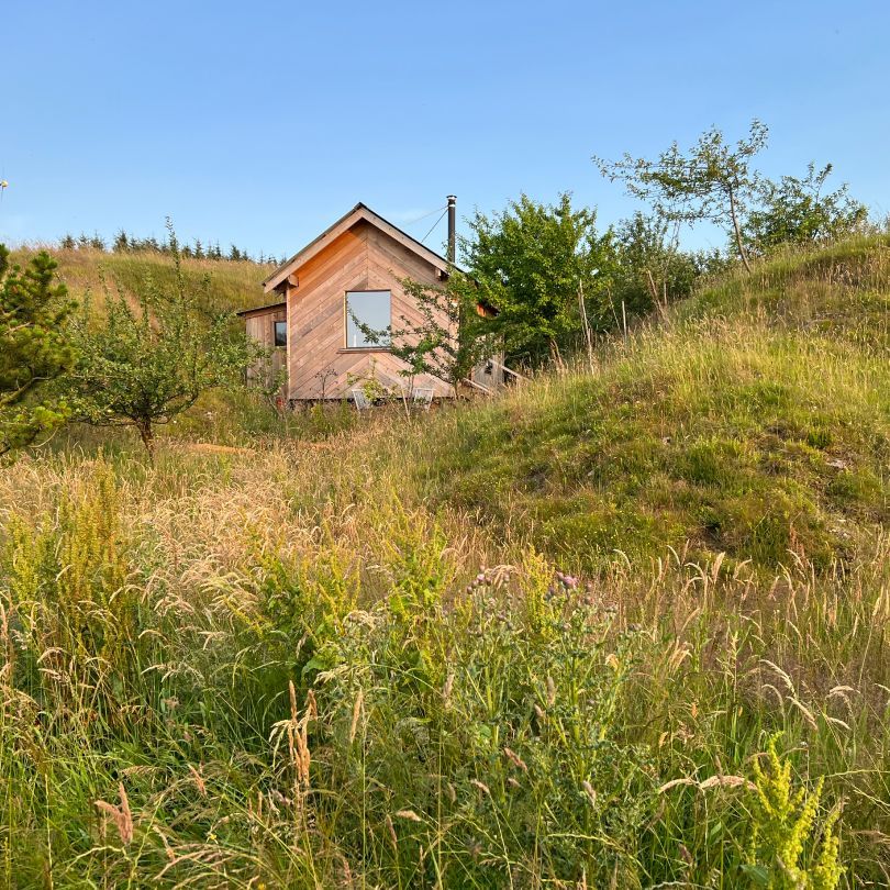 Isolated dog sale friendly cottages