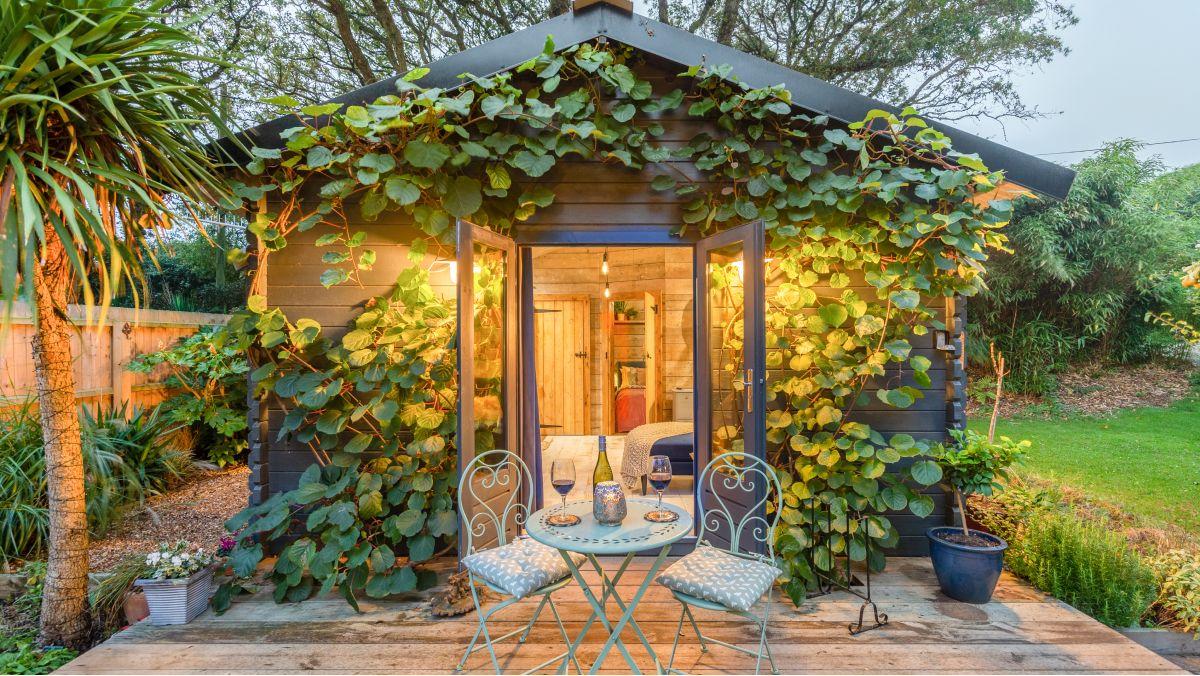 A dog-friendly cabin