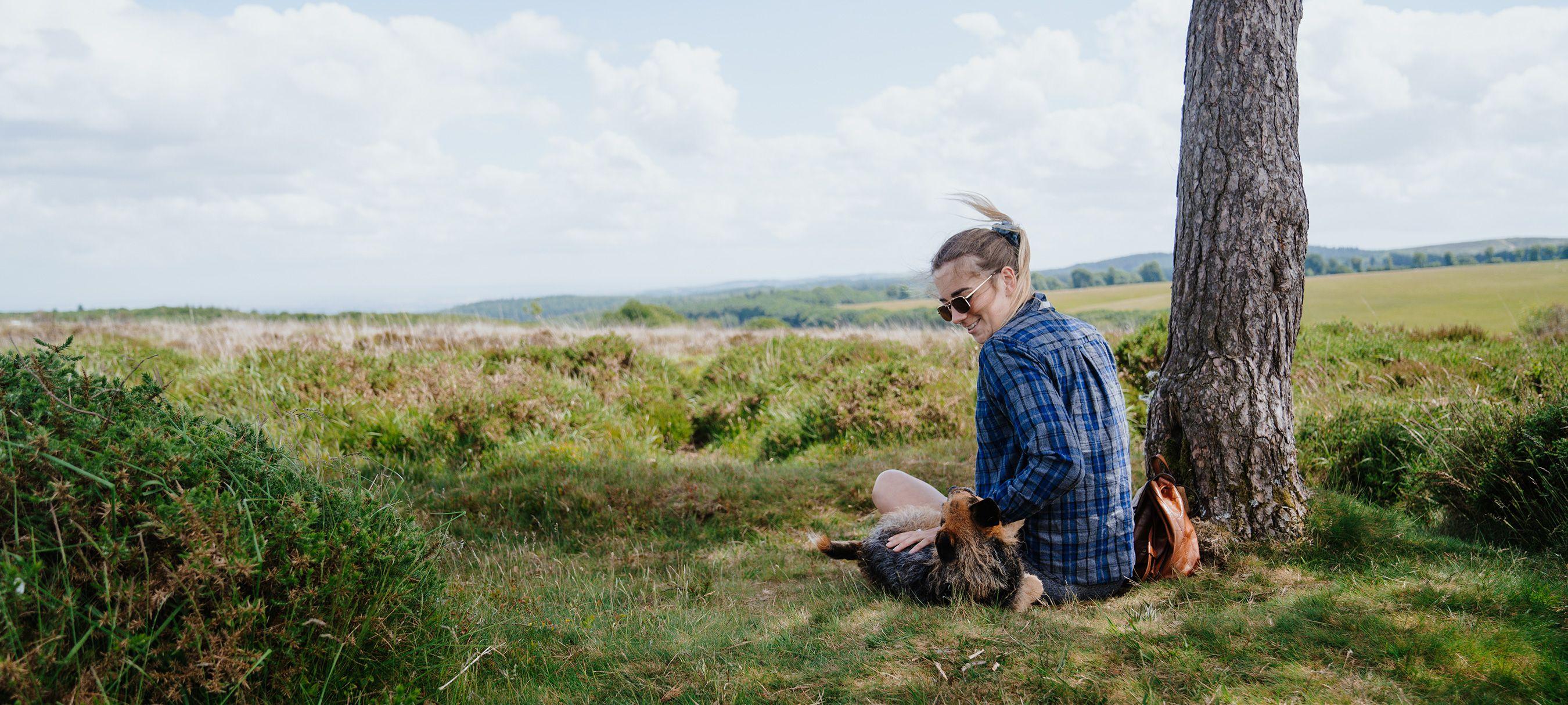 The best time to visit the Cotswolds with a dog Paws & Stay