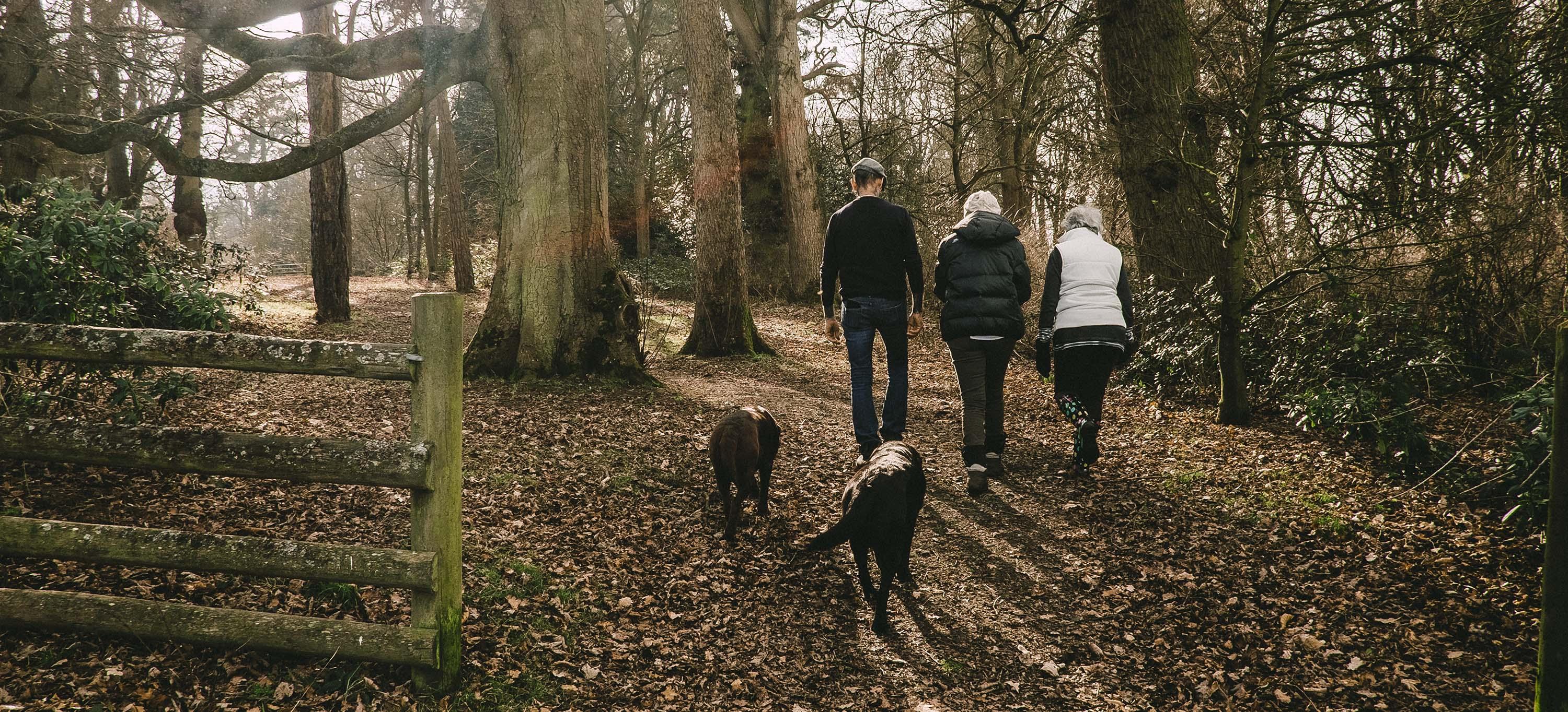 Dogfriendly family holidays in the Cotswolds Paws & Stay