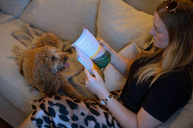 Dog relaxing on sofa with owner reading book