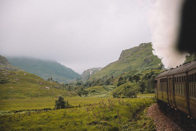 scotland travel with dog