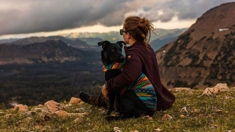 A person and a dog looking at a view