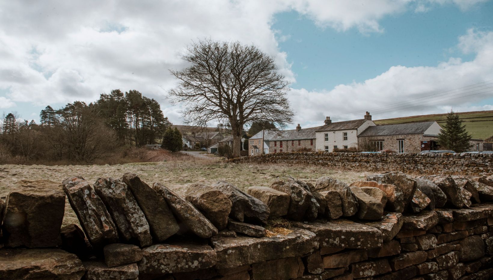 A row of houses in the countryside