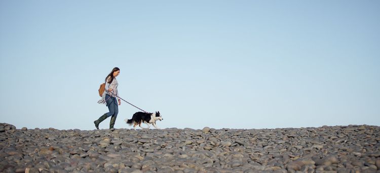 A person walking their dog on the beach
