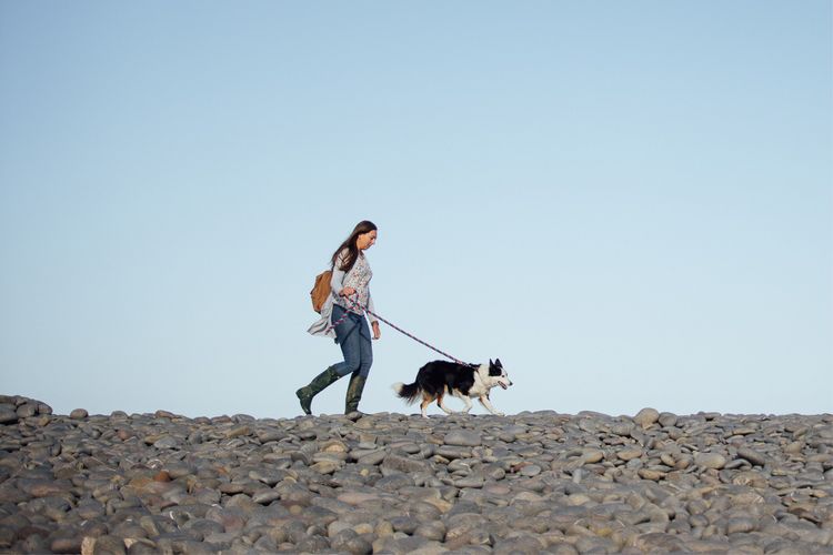 A person walking their dog on the beach