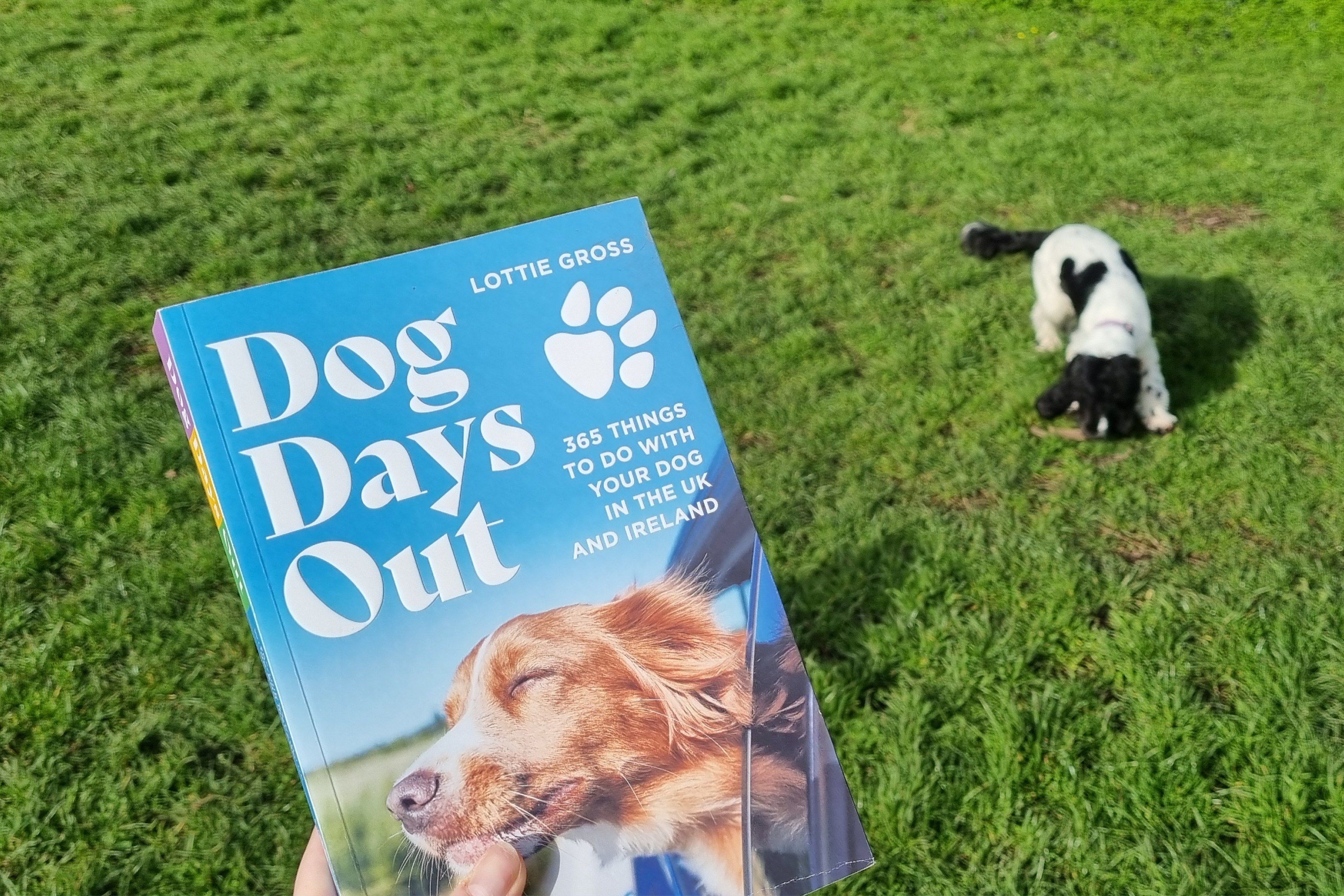 A Dog Days Out Book in front of a dog on grass
