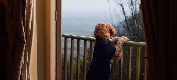 A dog with it's paws on a balcony looking out on a country view
