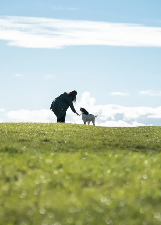 A person with their dog on a hill