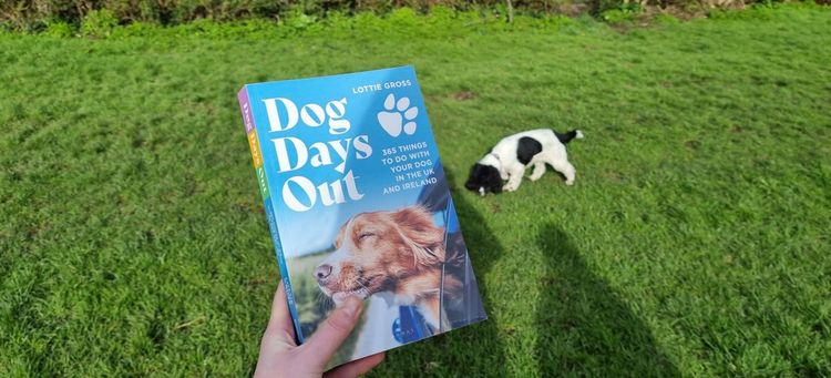 Someone holding a 'Dog Days Out' book in a field with a dog