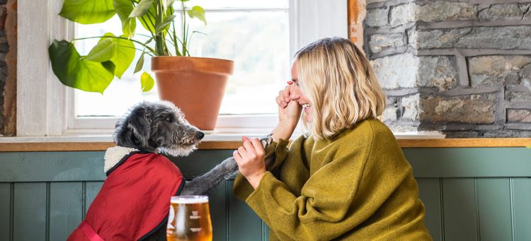 Someone holding a dogs hand