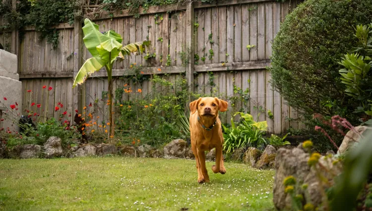 Garden at The Old Granary