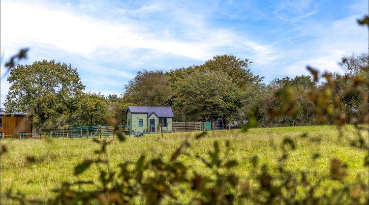 Mini House Devon Tiny House, Devon | Paws & Stay