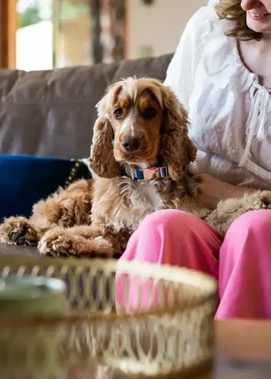 A person and a dog on a sofa