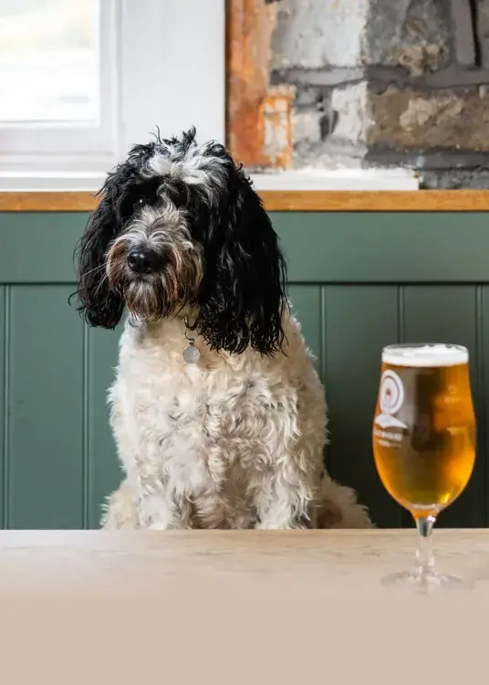 A dog sat at a table with a drink