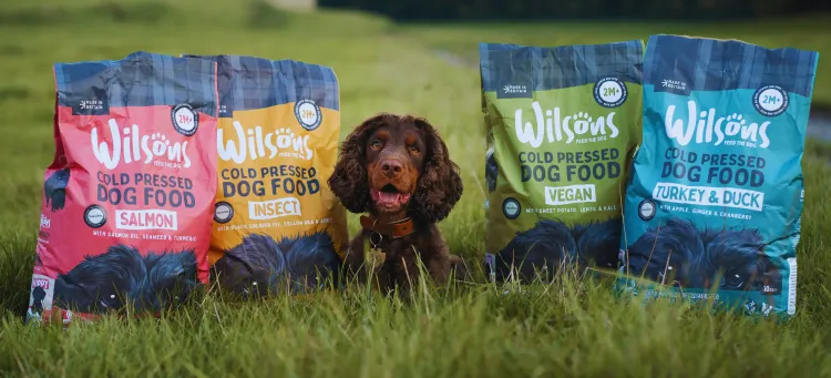 A dog with dog food
